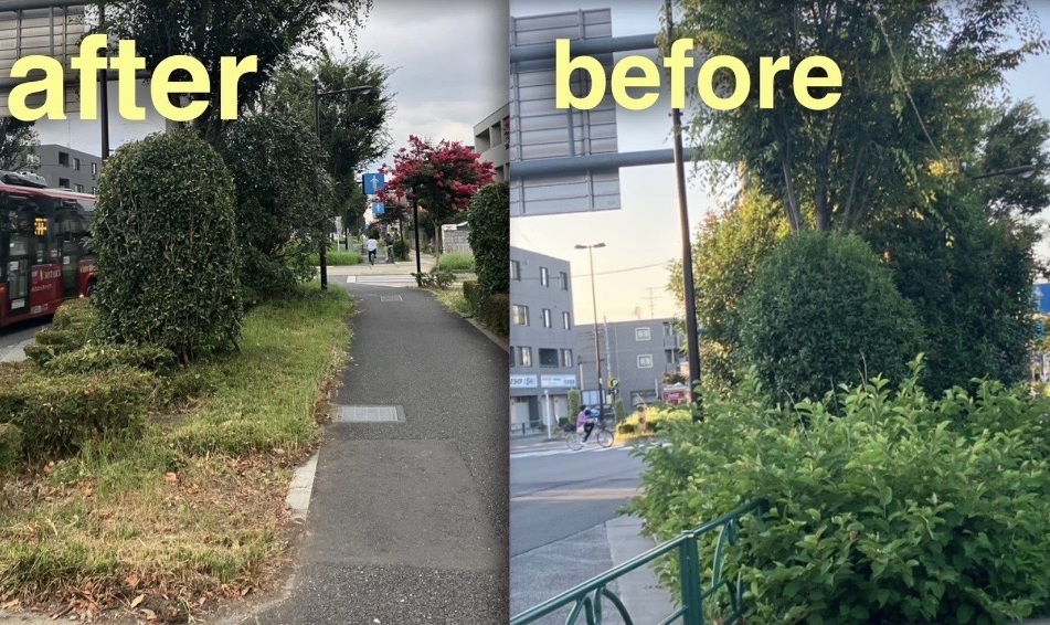 歩道草木剪定