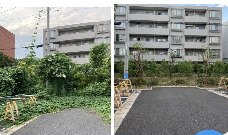 草木剪定