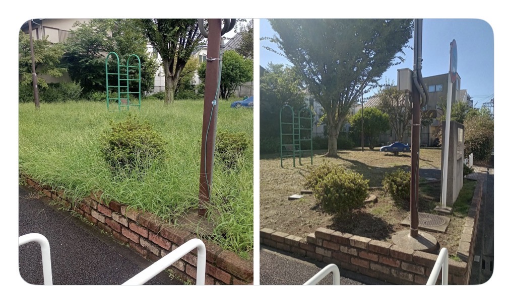 公園の雑草刈り